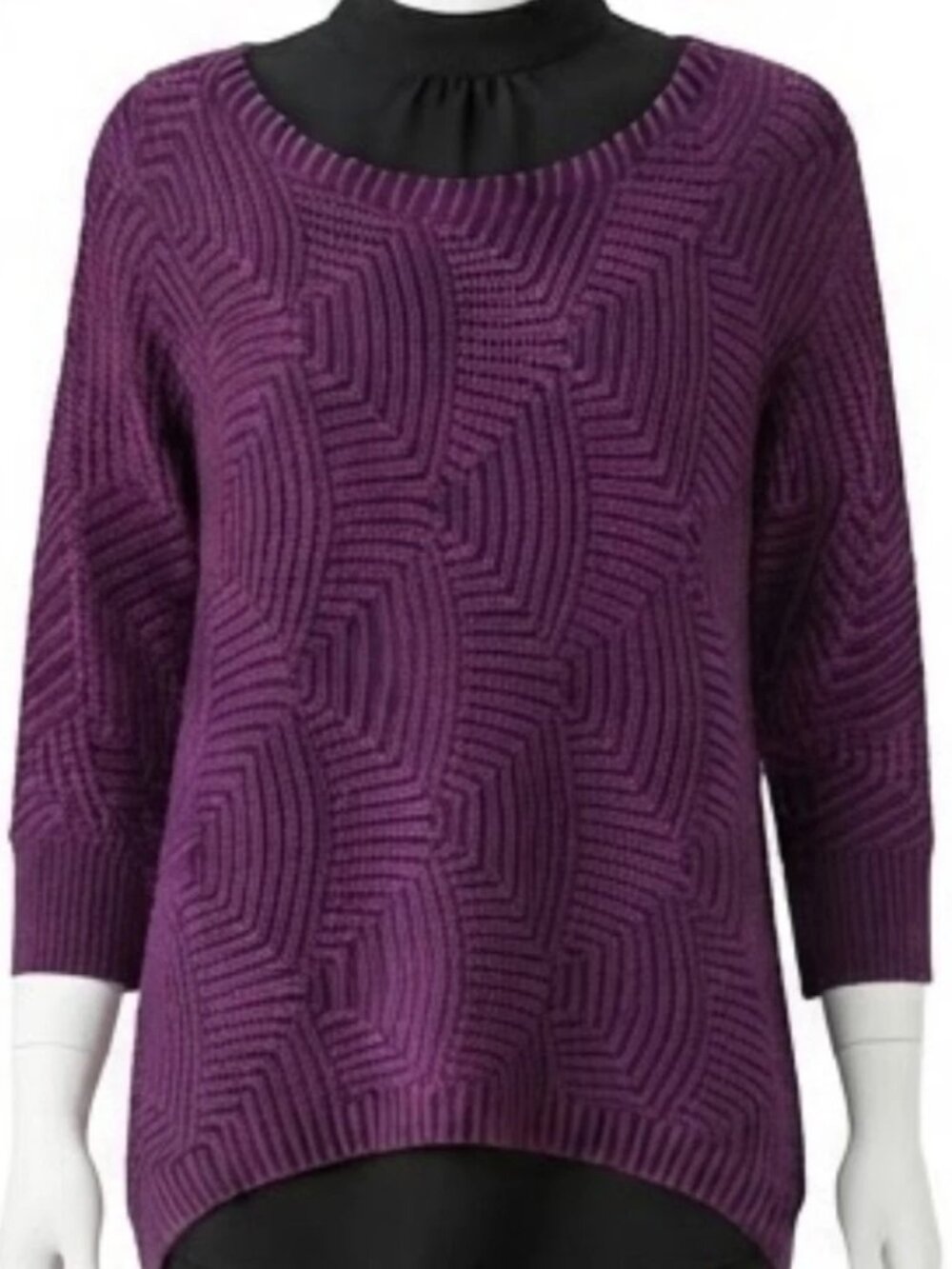 Dana Buchman Women's Large Sweater Purple Black Pullover